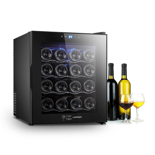meilleur rapport qualite prix mini cave a vin