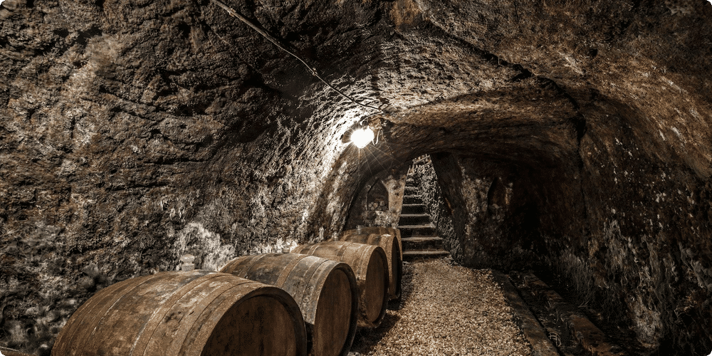 Optimiser l'espace de votre cave à vin : astuces pratiques