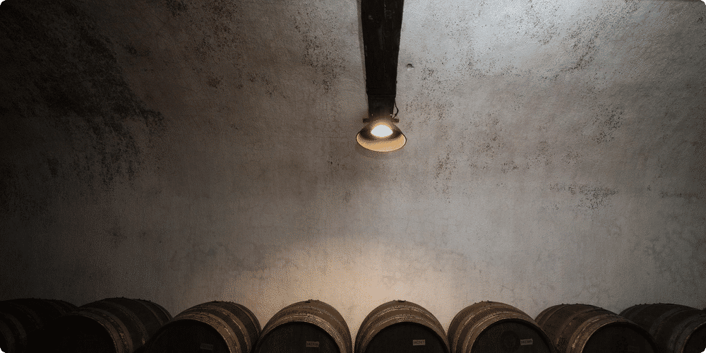Styles d'armoires à vin et intégration design